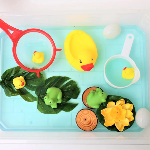 Ducks & frogs kit