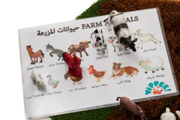 Farm Animals Kit