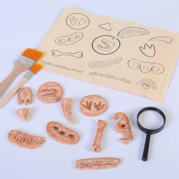 Dinosaur Fossils Kit