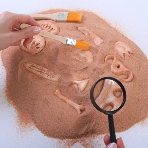 Dinosaur Fossils Kit