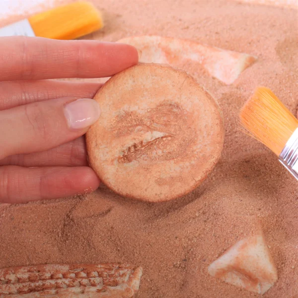 Dinosaur Fossils Kit