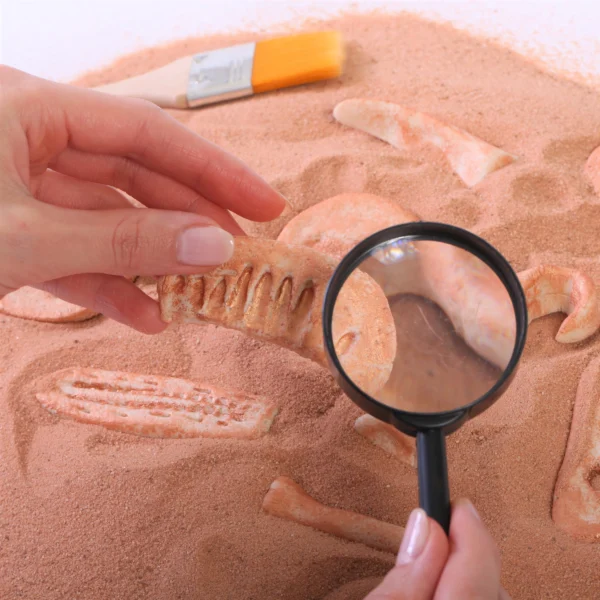 Dinosaur Fossils Kit