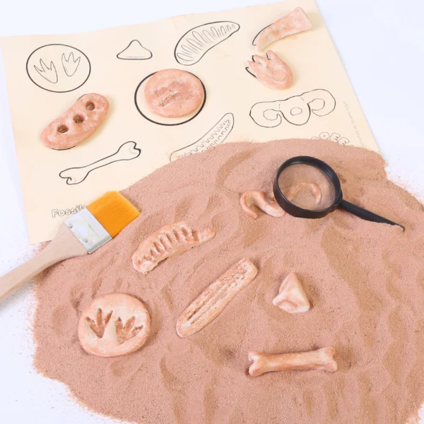Dinosaur Fossils Kit