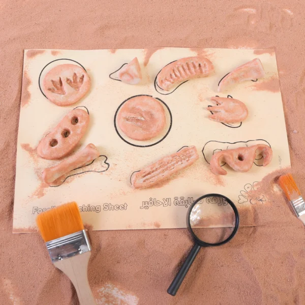Dinosaur Fossils Kit