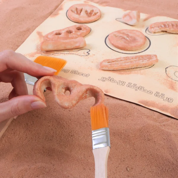 Dinosaur Fossils Kit