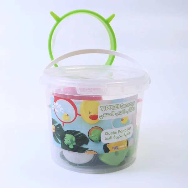 Ducks & frogs kit