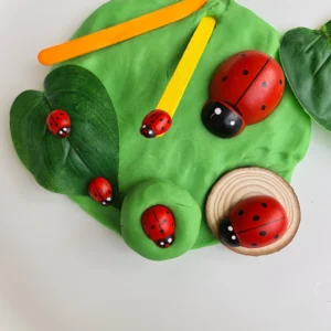 Ladybug Playdough