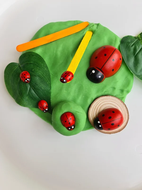 Ladybug Playdough